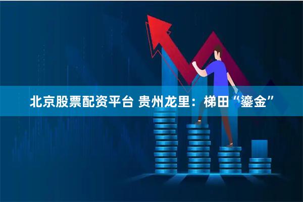 北京股票配资平台 贵州龙里：梯田“鎏金”