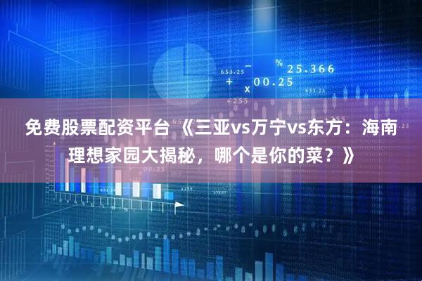 免费股票配资平台 《三亚vs万宁vs东方：海南理想家园大揭秘，哪个是你的菜？》