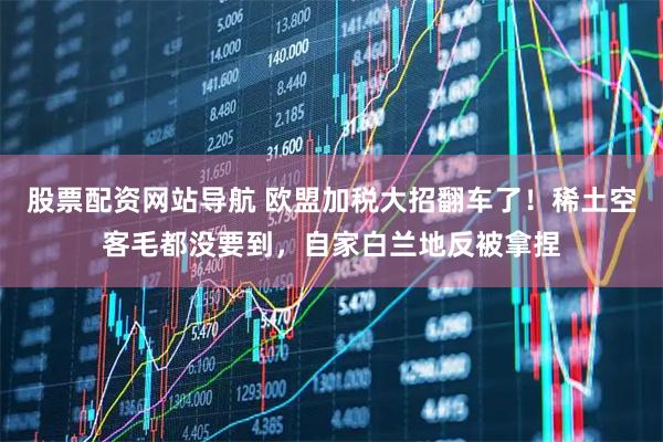 股票配资网站导航 欧盟加税大招翻车了！稀土空客毛都没要到，自家白兰地反被拿捏